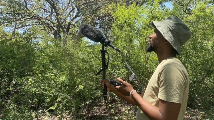 Personne enregistrant les sons de la forêt avec un microphone directionnel
